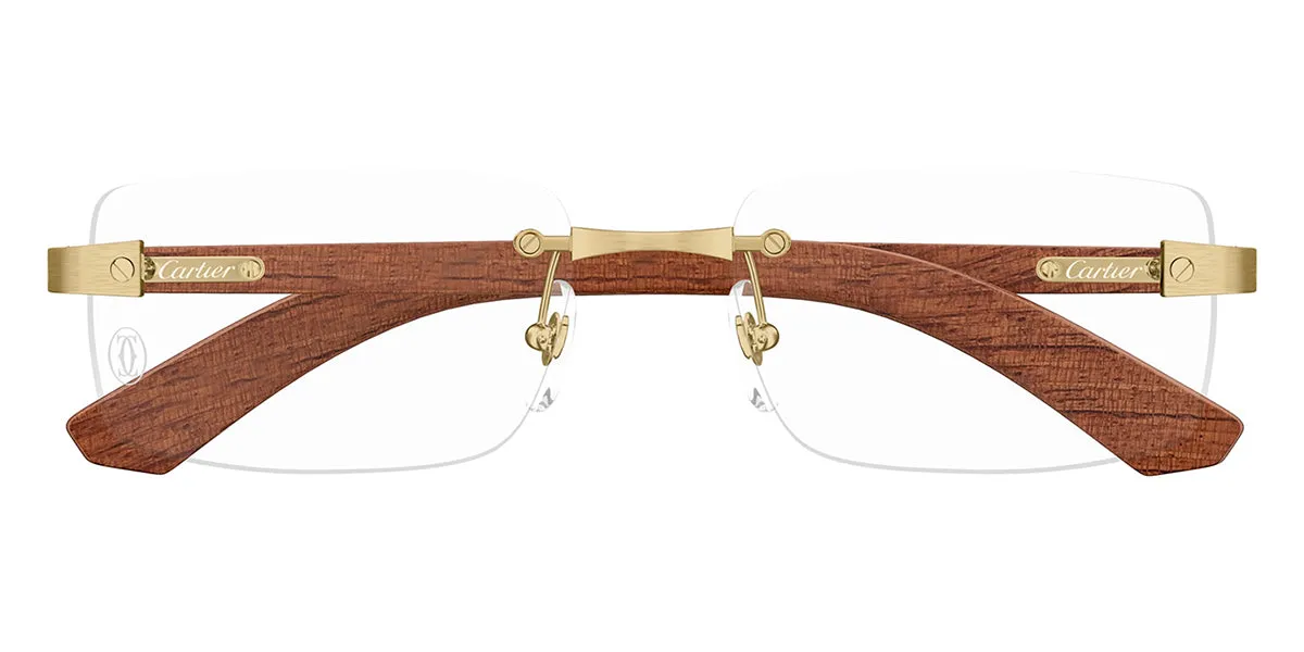 Cartier CT0513O 002