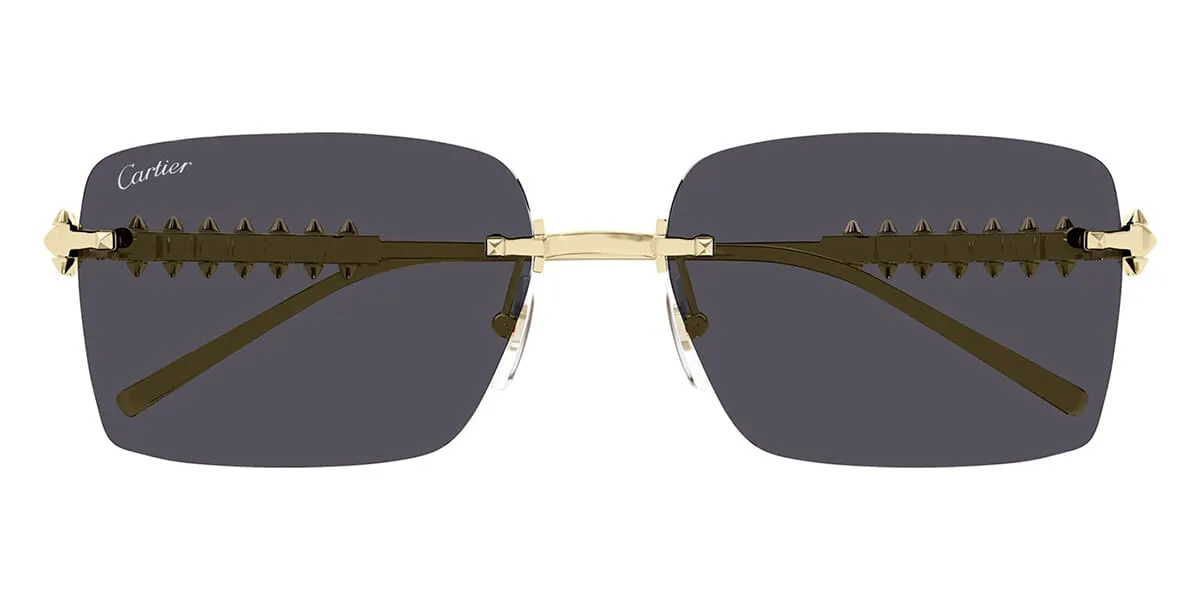 Cartier CT0545S 002