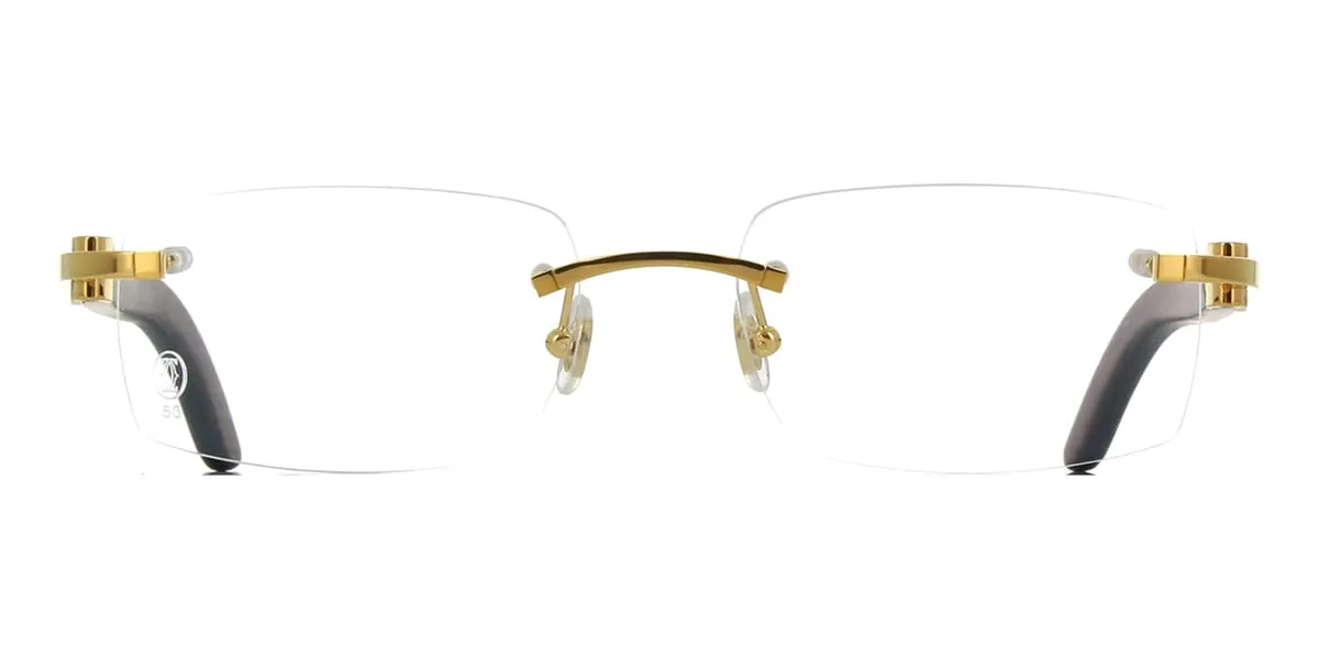 Cartier Ibiza CT0052O 005