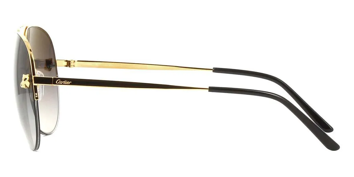 Cartier Panthere Pilot CT0065S 001