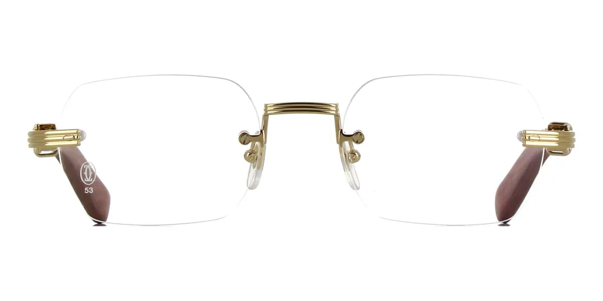 Cartier Premiere CT0377O 002