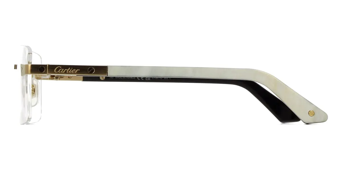 Cartier Santos Buffalo Horn CT0411O 003 4KG