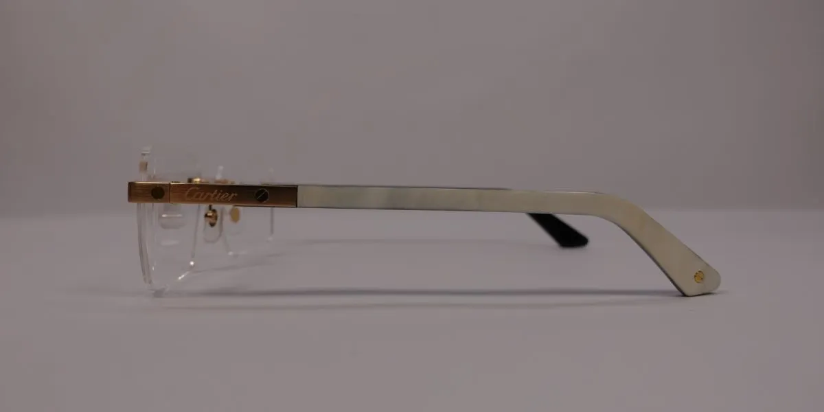 Cartier Santos Buffalo Horn CT0411O 003 4KG