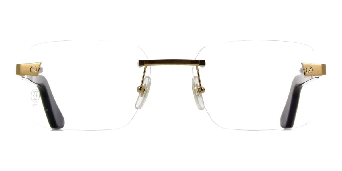 Cartier Santos Buffalo Horn CT0411O 003 4KG