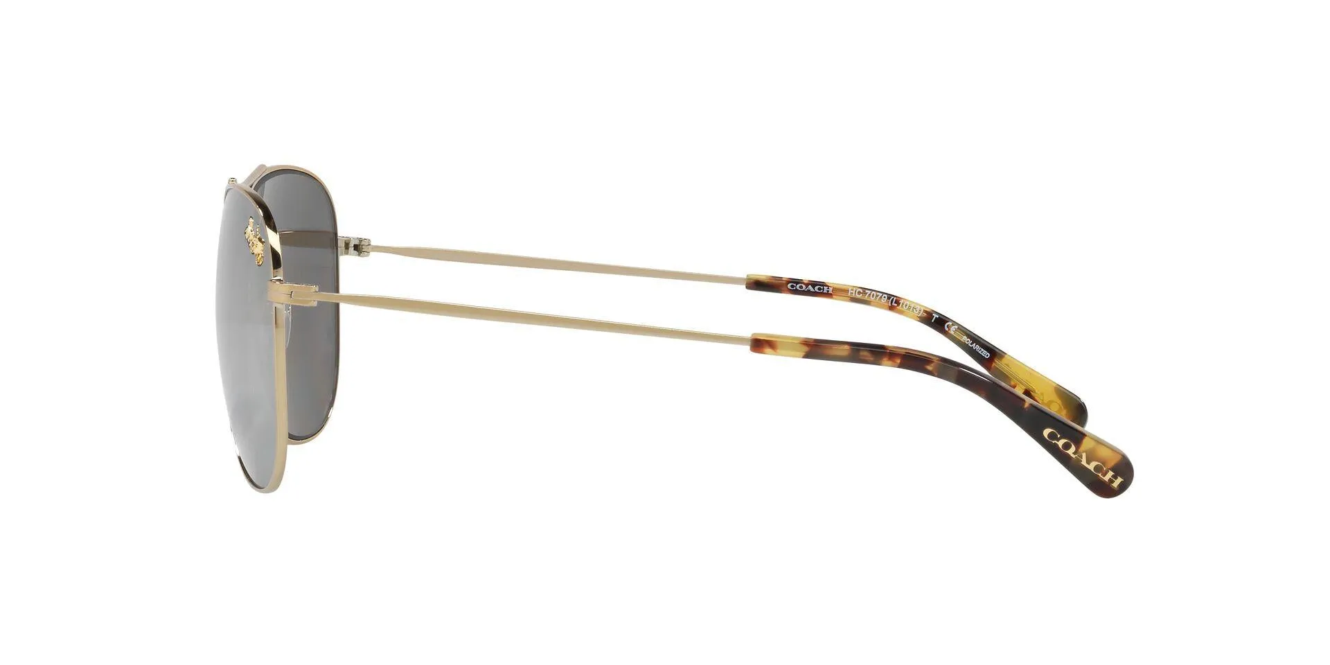 Coach L1013 7079 Sunglasses