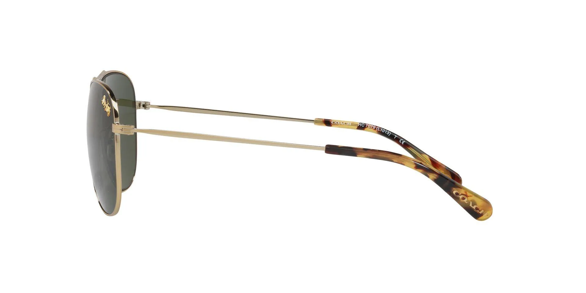 Coach L1013 7079 Sunglasses