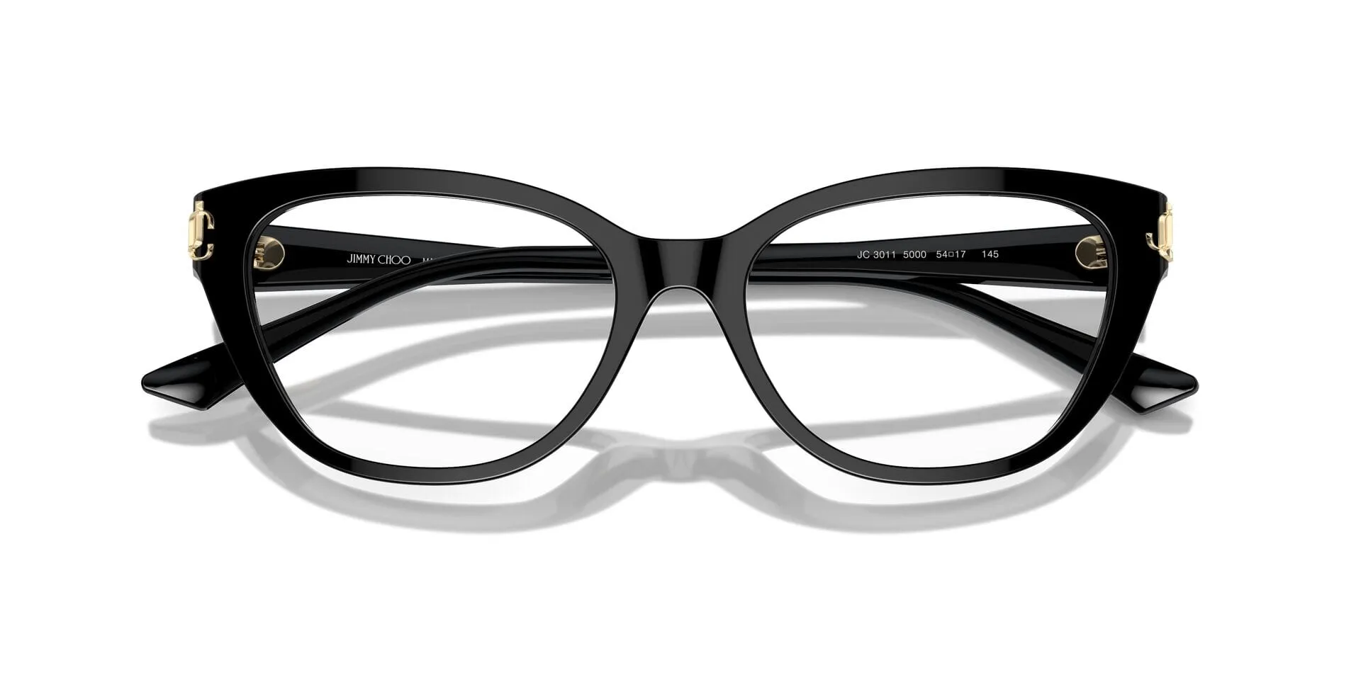 Jimmy Choo JC3011 5000