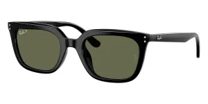 Ray-Ban RB 4439D 901/9A Polarised