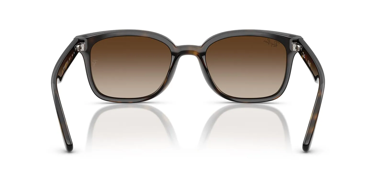 Ray-Ban RB 4461D 710/13