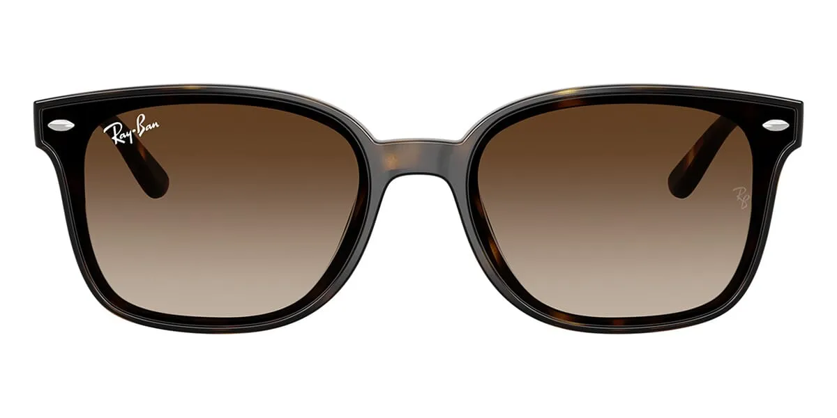 Ray-Ban RB 4461D 710/13