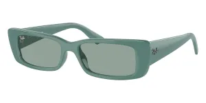 Ray-Ban Teru RB 4425 6762/82