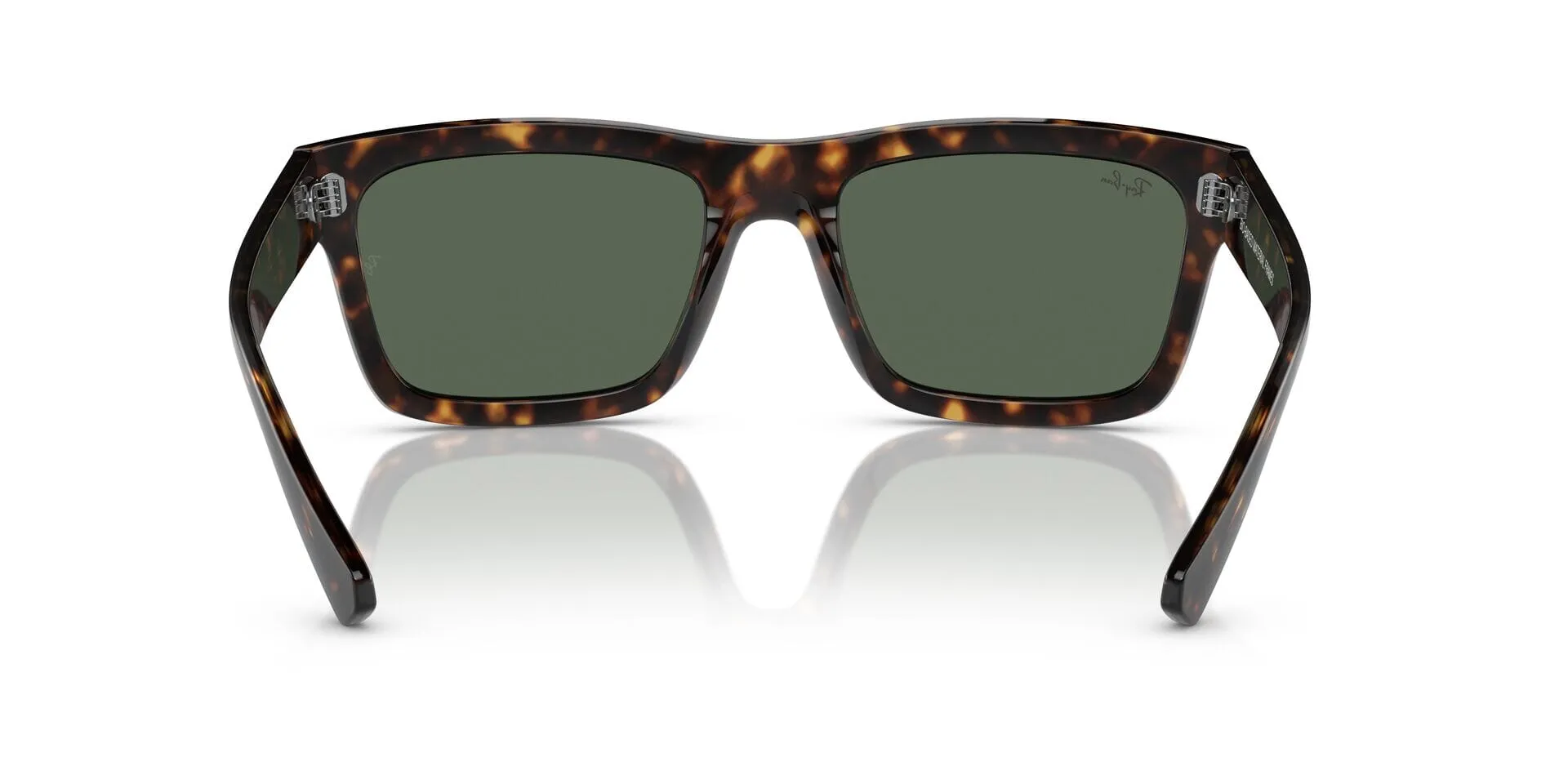 Ray-Ban Warren RB 4396 1359/71