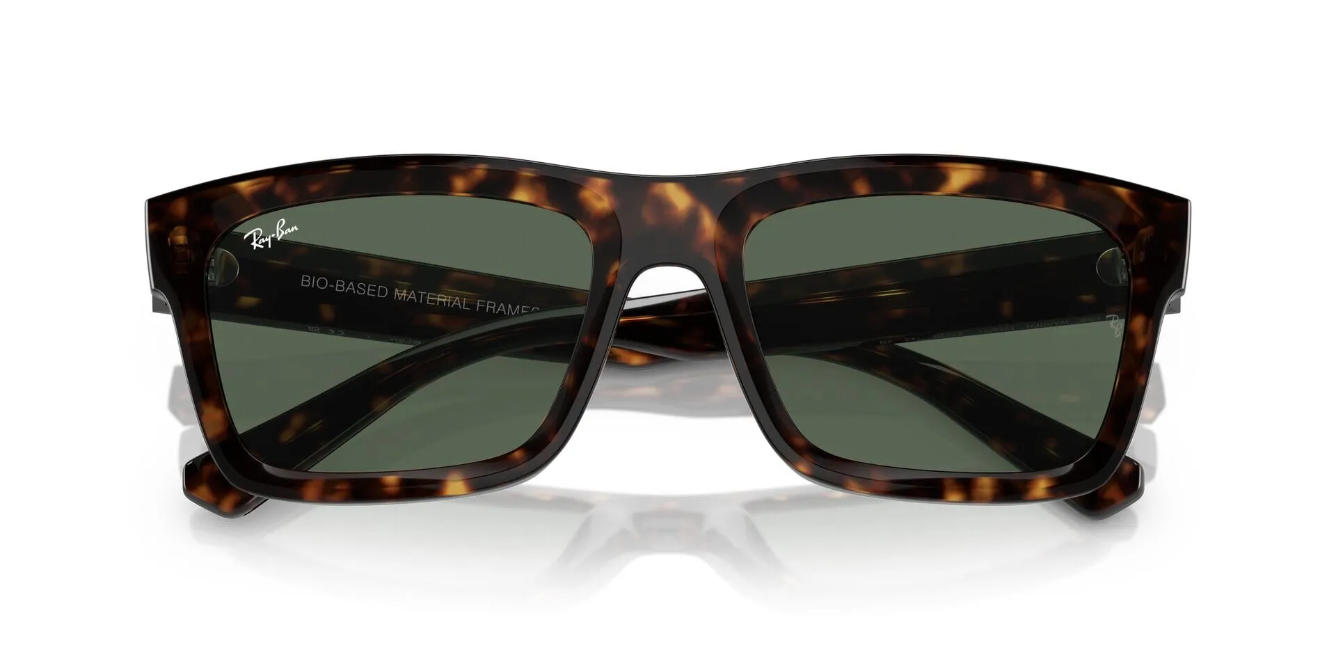 Ray-Ban Warren RB 4396 1359/71