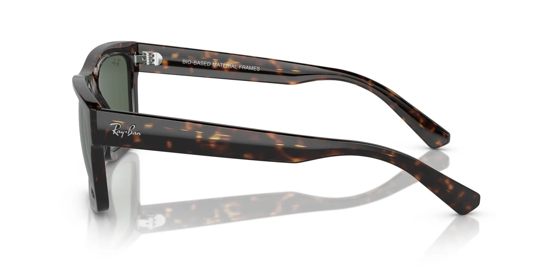 Ray-Ban Warren RB 4396 1359/71