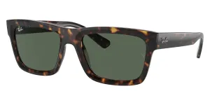 Ray-Ban Warren RB 4396 1359/71