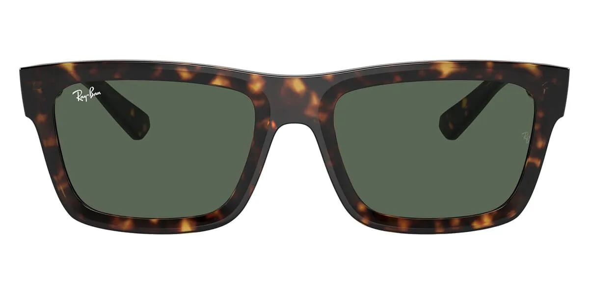 Ray-Ban Warren RB 4396 1359/71