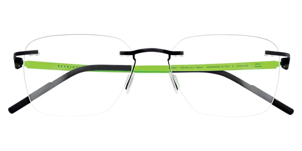 Reykjavik Eyes Black Label Edvin C2